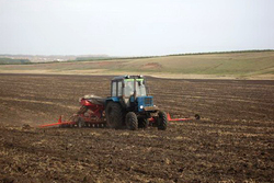 В сельхозоборот возвращены почти все земли Тамбовской области