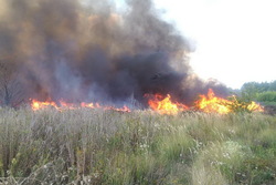 В Первомайском районе пенсионер сгорел заживо, поджигая сухостой у двора