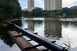 Тамбовская прокуратура проконтролировала расчистку реки Цны