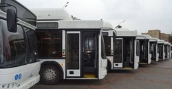 Муниципалитеты Тамбовской области получат 52 пассажирских автобуса