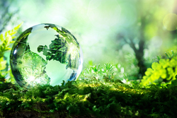 Россельхозбанк создает Фонд «Экология» для поддержки устойчивого развития АПК