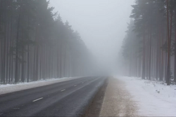 Туман и гололёд ожидаются в Тамбовской области 3 февраля