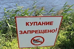 Уже 11 пляжей в Тамбовской области временно непригодны для купания