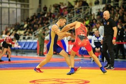 В Тамбове пройдет Фестиваль единоборств