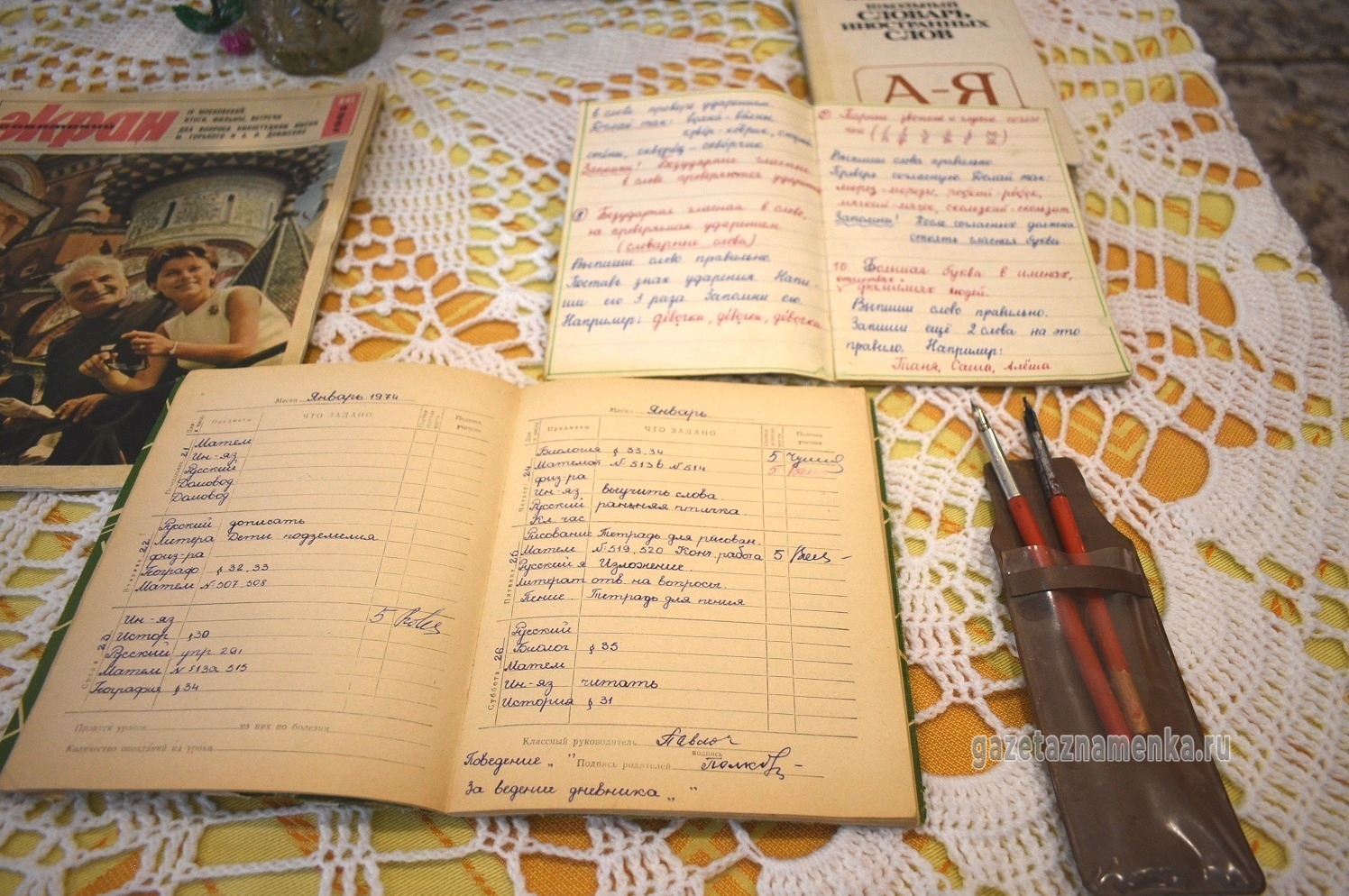 Школьный дневник и перьевые ручки