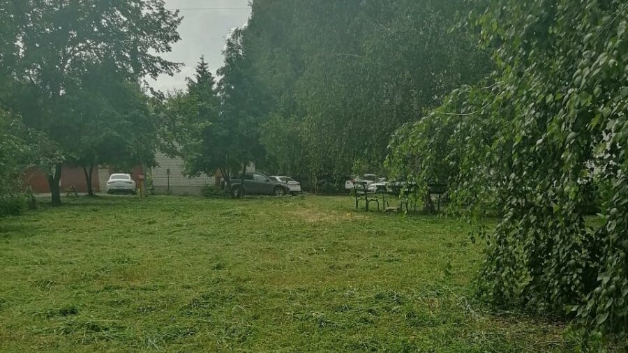 Тамбов разборка гранта