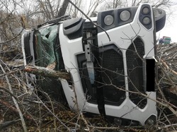 В Жердевском округе опрокинулся свиновоз: часть животных погибла