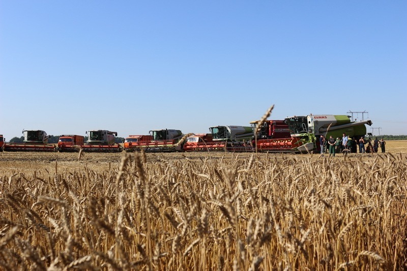 сайт тамбовское хозяйство. растениеводство тамбовской области. отрасли сельского хозяйства в тамбове. хозяйство тамбовской области. надпись уборка урожая.