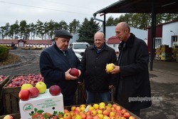 В Абхазии появятся Тамбовские яблони