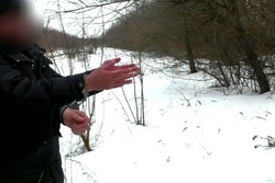 Кто убил рецидивиста: тамбовские следователи разгадали тайну жестокого убийства