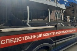 В Тамбовской области возбудили два уголовных дела из-за гибели матери и дочери в Никифоровском округе
