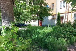 В Тамбове проверяют работу УК по покосу травы во дворах многоэтажек
