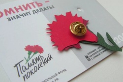 В Тамбовской области продолжается акция «Красная гвоздика»