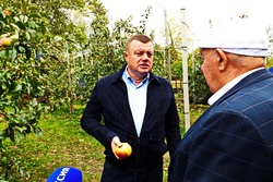 Губернатор оценил успехи аграриев Петровского и Староюрьевского районов
