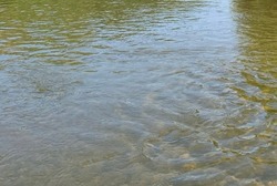 В Уваровском округе в пруду утонул мужчина