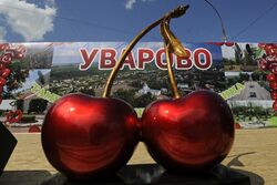 Фестиваль «Вишневарово» вошел в десятку главных гастрономических праздников страны