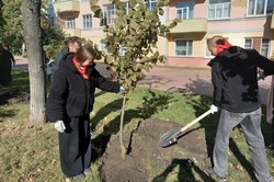 В Тамбове подвели итоги озеленения города в 2025 году 