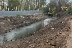 В Пичаевском округе завершили работы по расчистке реки Пичаевки