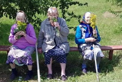 Пожилые обитатели Сосновского дома-интерната собирают лекарственные растения