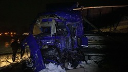 В Мичуринском округе при столкновении двух грузовиков погиб мужчина