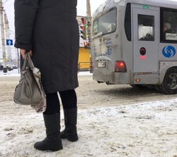 В Мичуринске перевозчик незаконно заработал на льготных пассажирах 3,8 млн рублей