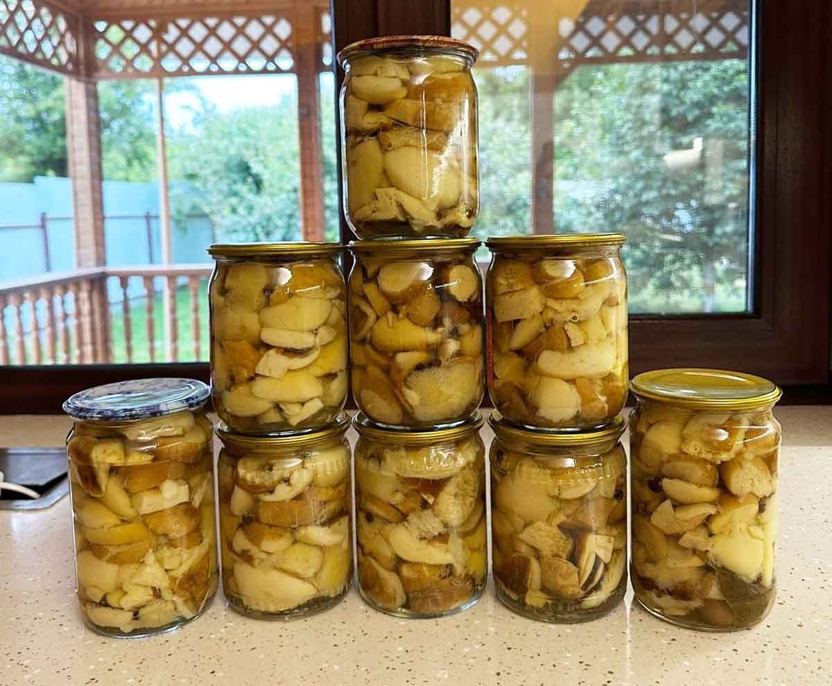 У сосновцев идёт сезон заготовки белых грибов