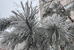 В Тамбов придет зима с морозами до минус 18 градусов