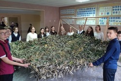 Волонтерский фронт: жители Токаревского округа продолжают помогать участникам спецоперации