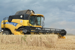 В этом году Тамбовская область соберёт рекордный урожай зерна