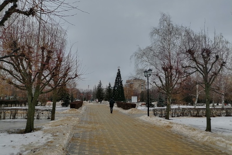 Погода в Тамбове: после плюсовых температур придёт 20-градусный мороз ...