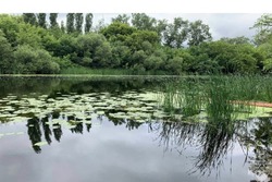 В Моршанске утонул в реке Цне 29-летний мужчина