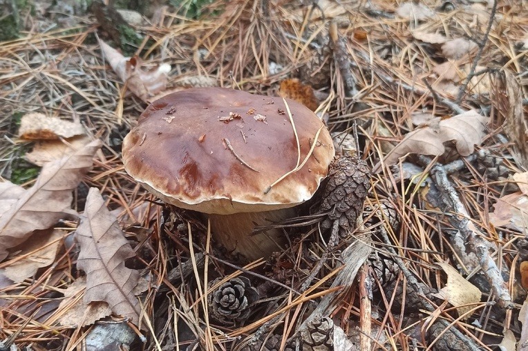 Заблуждение 8