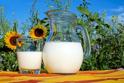 В Тамбовской области в 2022 году увеличили производство молока
