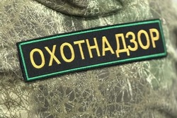 В Тамбовской области составили проколы на 84 охотников