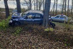 В Петровском районе пьяный 23-летний водитель врезался в дерево