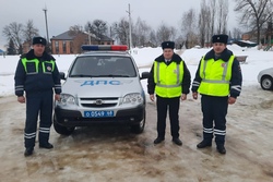 Тамбовские автоинспекторы спасли водителя, застрявшего в сугробе посреди леса