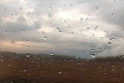 В Тамбове новая неделя будет дождливой