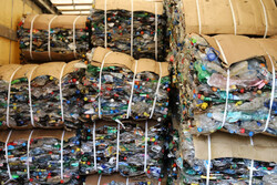 Тамбовчане собрали на переработку более 8,5 тонн пластиковых бутылок