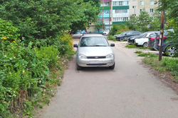 В Притамбовье «Лада Калина» сбила ребёнка