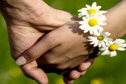 В День семьи, любви и верности в Тамбове брак зарегистрируют 10 пар