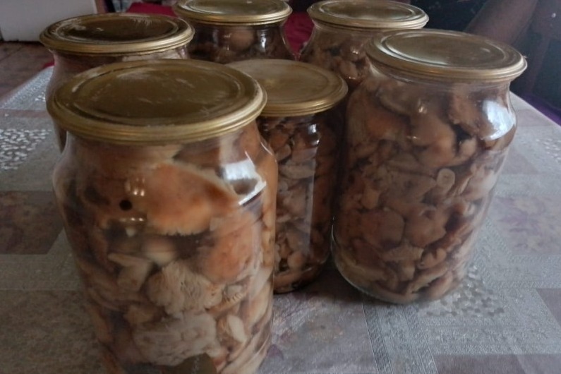 Правилами безопасности во время «тихой охоты» и рецептом маринования грибов поделилась жительница Умётского округа