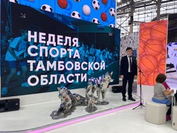 Гостям выставки «Россия» на ВДНХ расскажут об успехах и перспективах тамбовского спорта