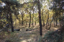 Тамбовская область продолжает внедрять федеральную систему ГИС «Охота»