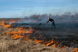 Ситуацию с сельхозпалами возьмут под особый контроль