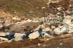 В Жердевском округе на месте старой свалки зазеленеют луга