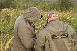 В ноябре тамбовчане шесть раз нарушили правила охоты