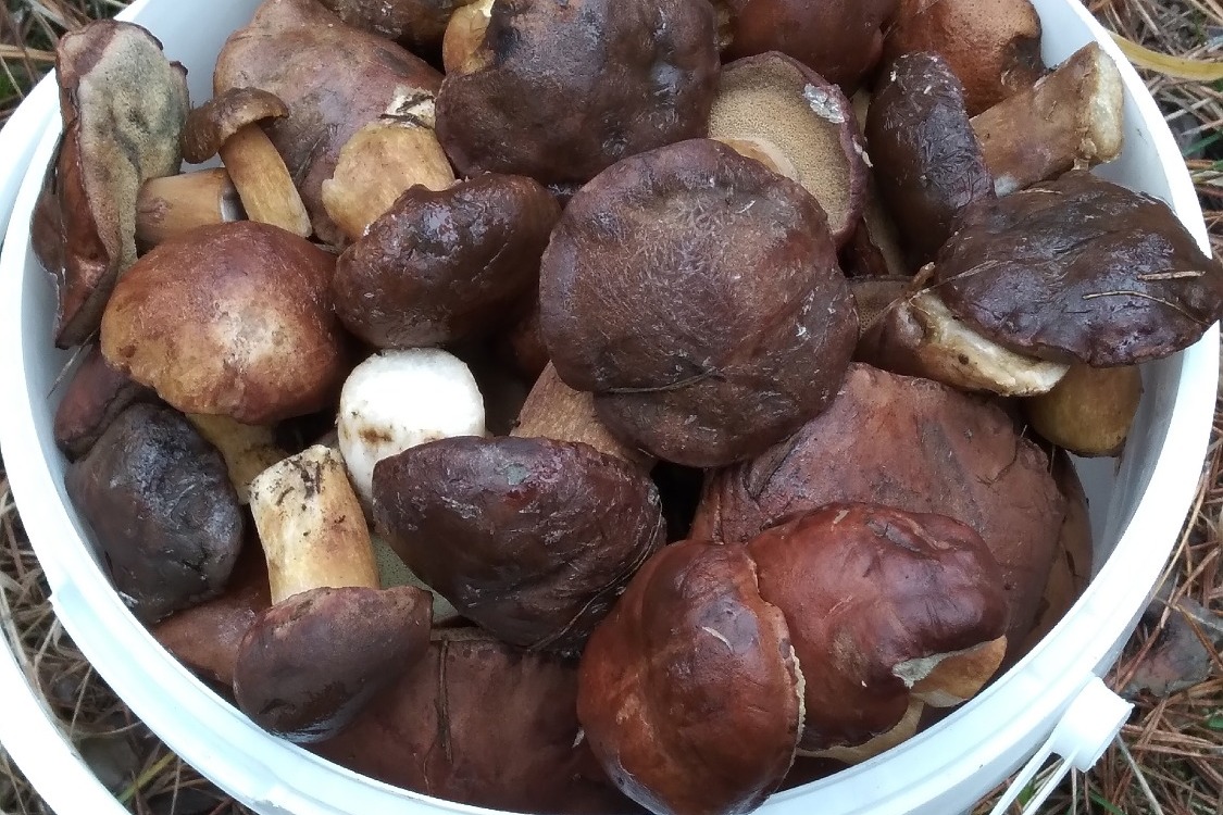 Фото: Галина Лебедева