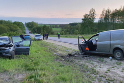 Девушка-водитель спровоцировала ДТП в Тамбовской области: пострадали два человека