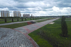 На благоустройство Олимпийского парка Тамбовщина получила 98 миллионов рублей