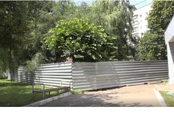 Жильцы дома по улице Чичканова ведут переговоры с застройщиком, чтобы спасти зелёную зону от уничтожения